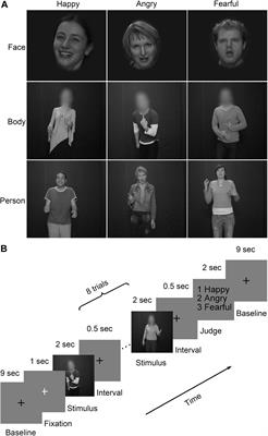 Abstract Representations of Emotions Perceived From the Face, Body, and Whole-Person Expressions in the Left Postcentral Gyrus